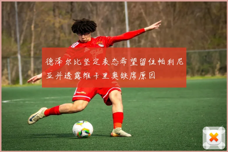德泽尔比坚定表态希望留住帕利尼亚并透露维卡里奥缺席原因