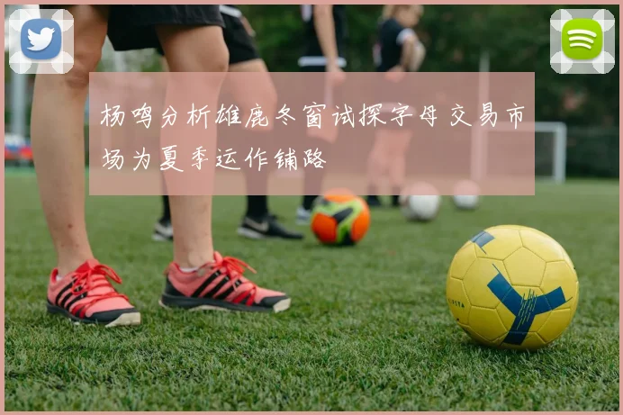 杨鸣分析雄鹿冬窗试探字母交易市场为夏季运作铺路